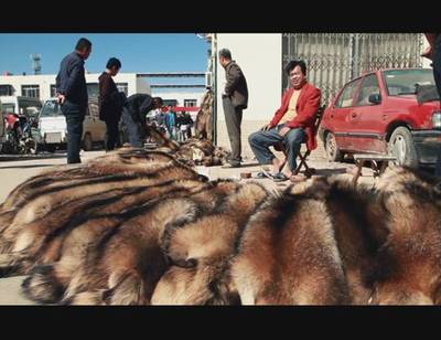 改革開放后，蠡縣皮毛皮革產業的輝煌與轉型